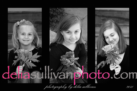 GirlscollageBLWH16x20canvas
