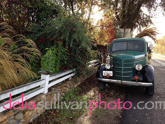 Napa truck-0216