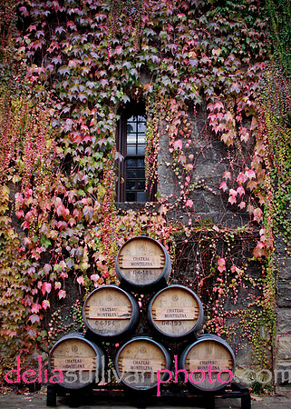 chateau montelena98