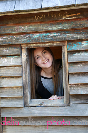 katevplayhouse1