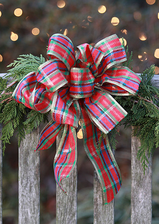 bench bow -2