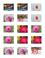 Notecard stickers