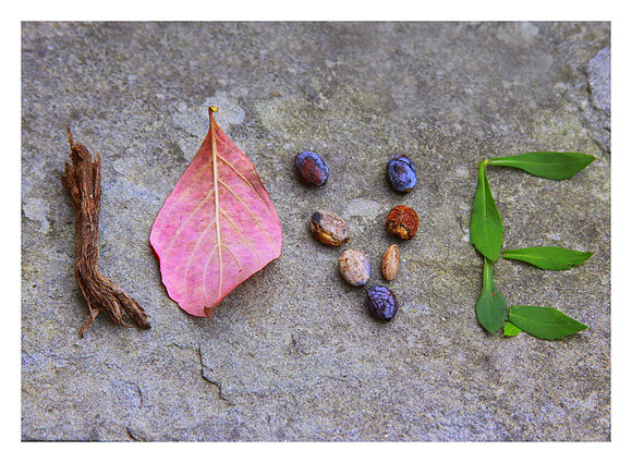 LOVE notcard.editcropboarder