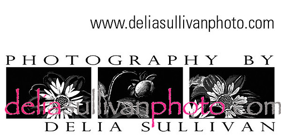 Logo_deliaphoto