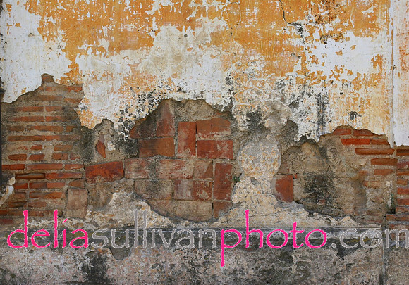 Texture wall (1)