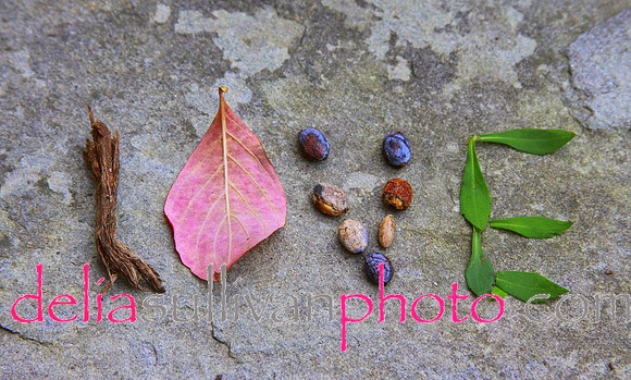 LOVE photo for mugcrop