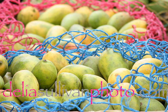mangos 2003