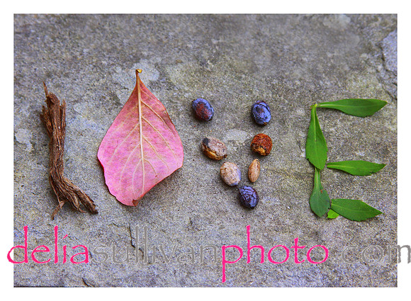 LOVE notcard.editcropboarder