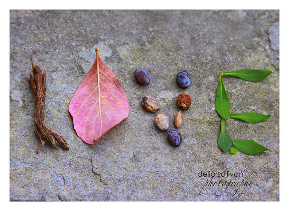 LOVE notcard.editcropboarderWM