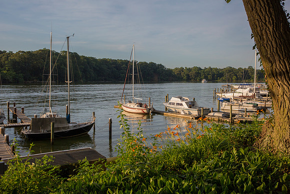 Foehliage_LR-61