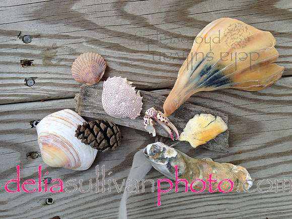 beach.collection.2.2015