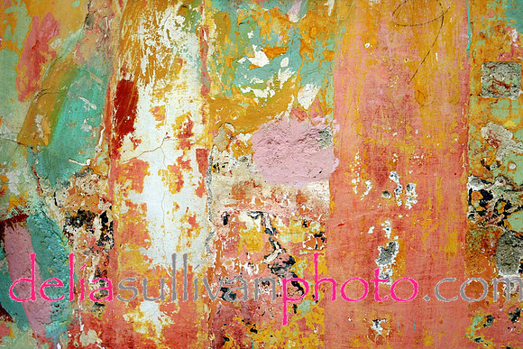 prana cafe wall 2003