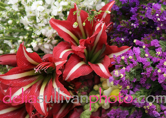 bouquetatmarket2003